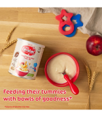Nestle Cerelac Infant Cereals Mixed Fruits 400g 7+Month - Image 2