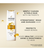 Pantene Active Nutri-Plex Repair & Protect Conditioner 230ml - Image 5